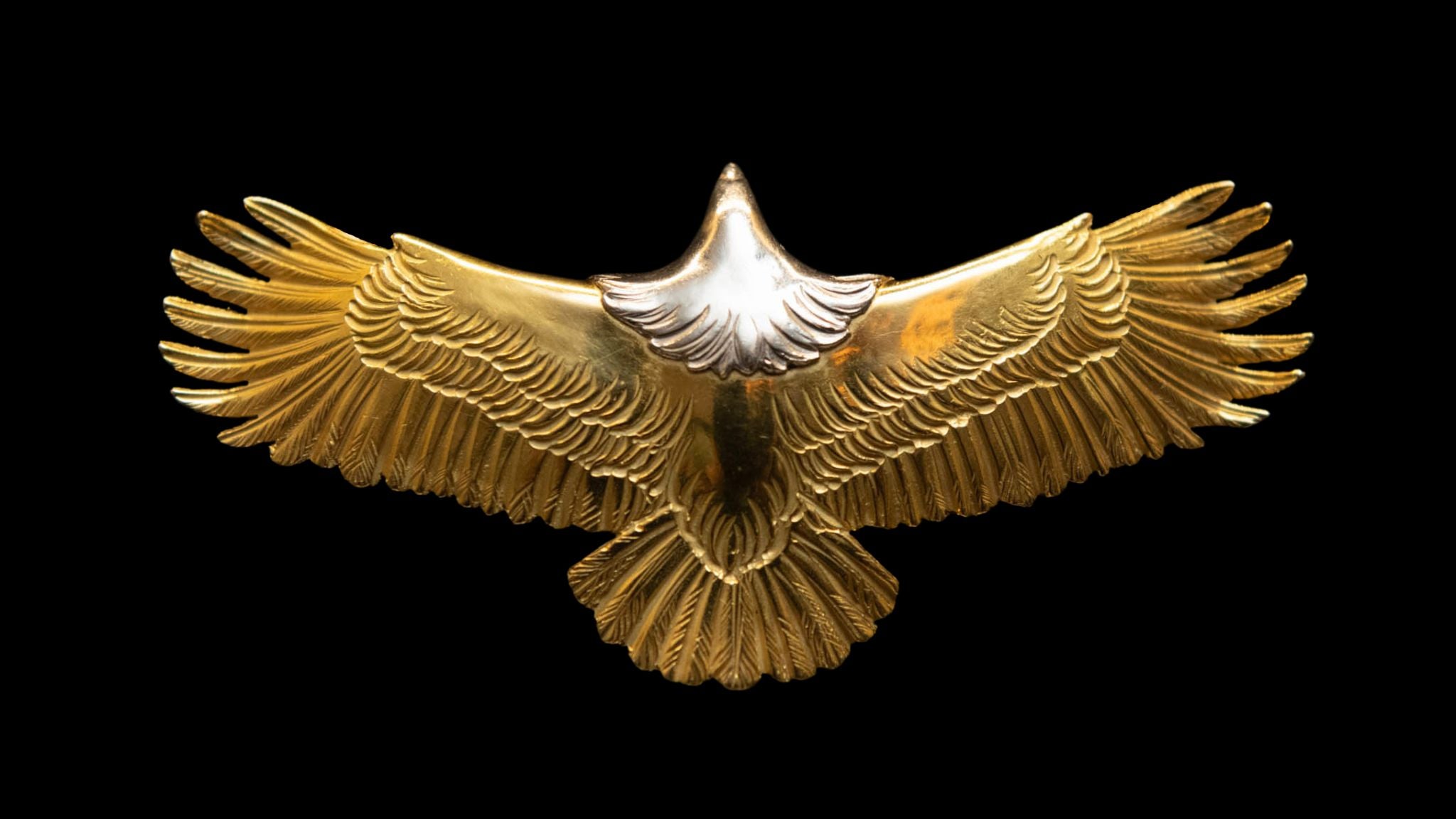 Platinum-Head-Eagle-1_3024x.
